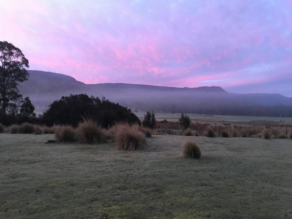Forest Walks Lodge image 16