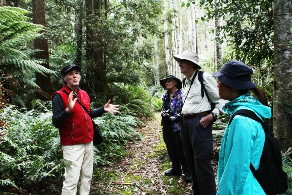 Forest Walks Lodge image 18